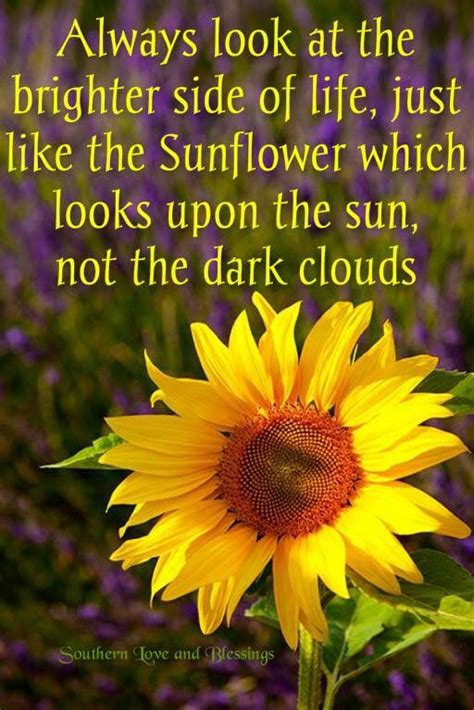 A Sunflower With A Quote On It That Says Always Look At The Brighter