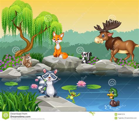 Cartoon Funny Animal Collection On The Beautiful Nature Background