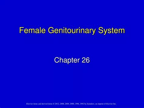 Ppt Female Genitourinary System Powerpoint Presentation Free
