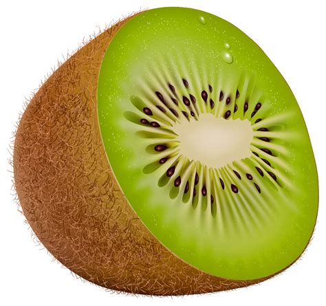 Kiwi Png Clipart Fruit Photography Kiwi Clip Art