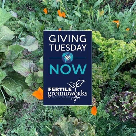 Fertile Groundworks Fertile Groundworks Is A Livermore Nonprofit With