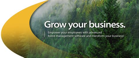 Yaali Forestry Management Pricing Alternatives And More 2023 Capterra