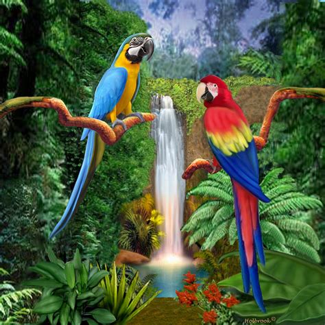 Macaw Tropical Parrots Digital Art By Glenn Holbrook Pixels
