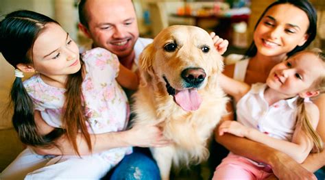 Las Personas Que Hablan Con Sus Mascotas Son M S Inteligentes De Manera Social Asegura La