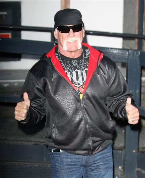 Hulk Hogan Wins Restraining Order Against Sex Tape