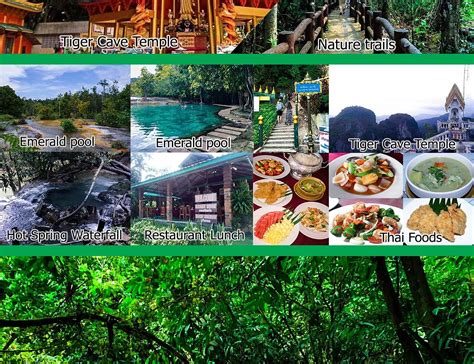 Krabi Jungle Tour Krabi Town All You Need To Know Before You Go