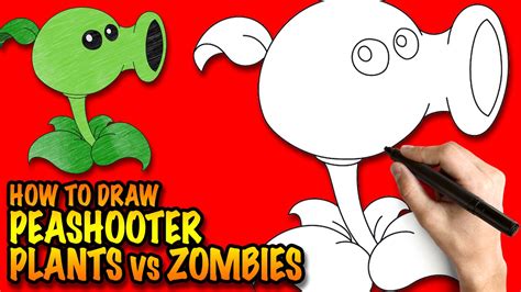 How To Draw A Peashooter From Plants Vs Zombies Images And Photos Finder