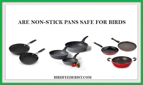 pans stick non birds safe