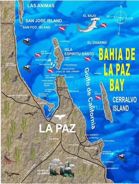 map of southern baja mexico triptutor la paz baja california map free printable maps