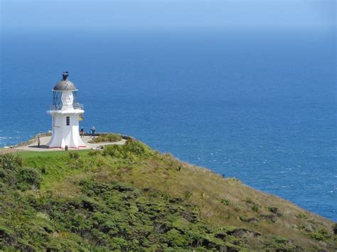 10 Best Things To Do At Cape Reinga 🌊 2024 Nz Pocket Guide