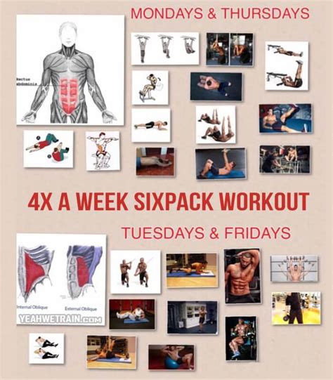 4x A Week Sixpack Workout Healthy Ab Training For A Sexy Body Project Next Bodybuilding
