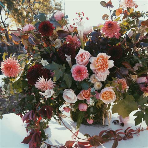 Find shops in white oak, tx using the local store shopping guide. white oak flower co. - flower house detroit | White oak ...