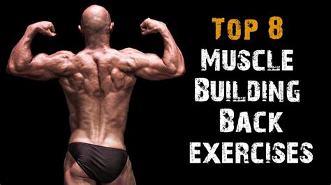 Here Are A List Of My Top 8 Highly Effective Muscle Building Back