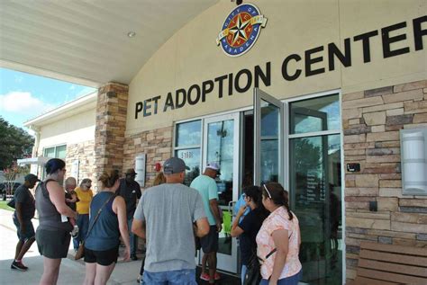 Pasadena Shelter Breaks Record For Pet Adoptions