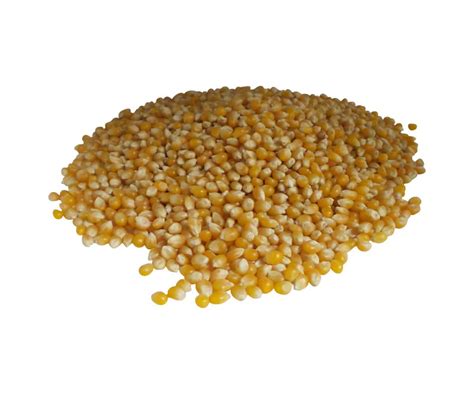 We have the right size popcorn machine to fit your needs from 4 oz. Gourmet Gold Popcorn | Bulk Priced Food Shoppe