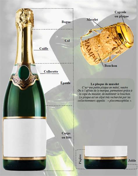Nom Des Bouteilles De Champagne Par Taille Partager Taille Bonne