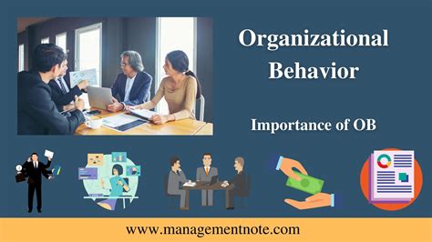 Organizational Behavior Definition And Importance Of Ob Management