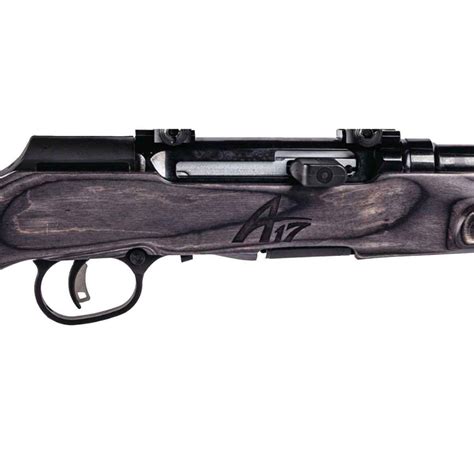 Savage Arms A17 Target Case Hardened Black Semi Automatic Rifle 17