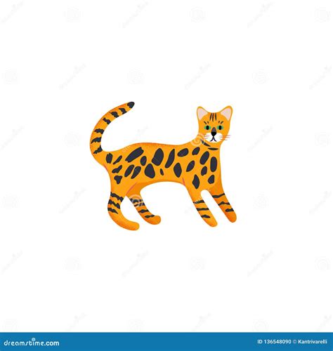 Bengal Cat Breed Infographics Royalty Free Stock Photography