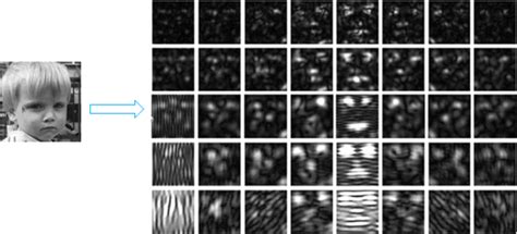 Gabor Wavelets Decomposition Of A Face Image Using 5 Frequencies And 8