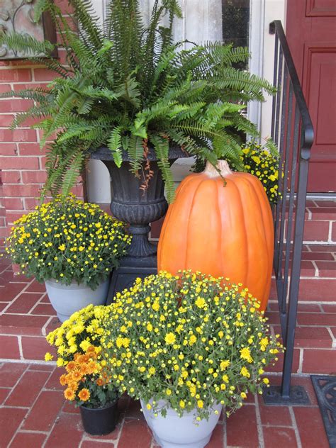 Fall Porch Decor With Ferns