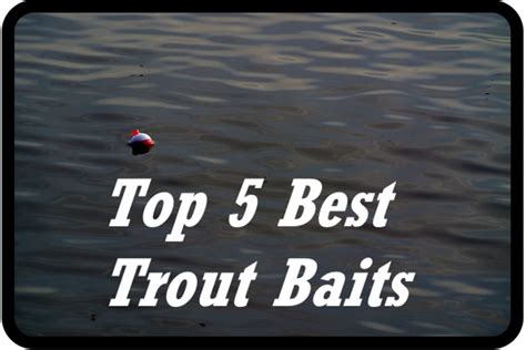 Top 5 Best Trout Baits Skyaboveus