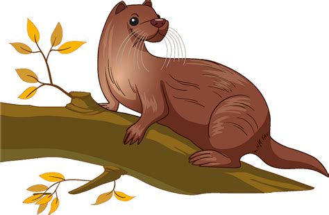 Otter clipart. Free download transparent .PNG | Creazilla png image