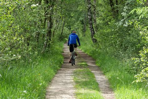 To Go Biking Cyclist Forest Free Photo On Pixabay Pixabay
