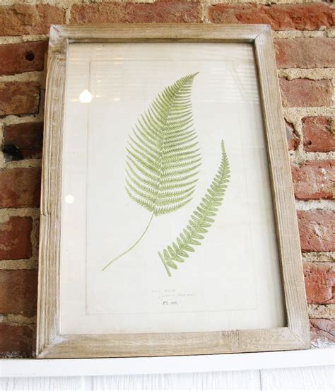 Botanical illustration with leaves on a black background. Wood Framed Fern Print | Wood frame, Print