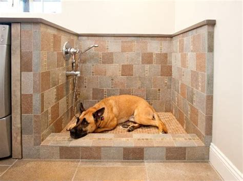 Mudroom Designs With Dog Showers Modern Ideas Diy Inspirations Pet