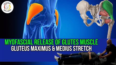 Myofascial Release Of Glutes Muscle Gluteus Maximus And Medius Stretch Trigger Point Massage