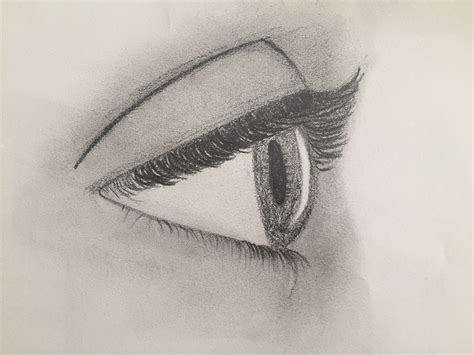 Ojo De Perfil Sin Ceja Ojos Cerrados Dibujo Pintar Ojos Dibujos De Ojos