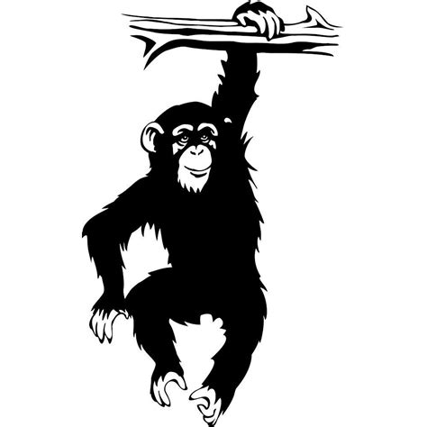 You can follow along with popi and draw this cute hanging monkey.parents can join their children to have fun with this exercise. Vinyl decal chimpanzee monkey hanging on tree branch ...