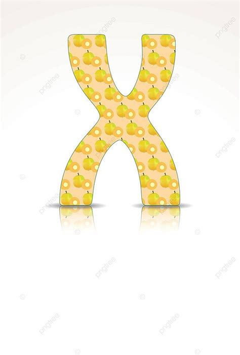 Ximenia Fruit Crafted Into The Letter X Of The Alphabet Vector