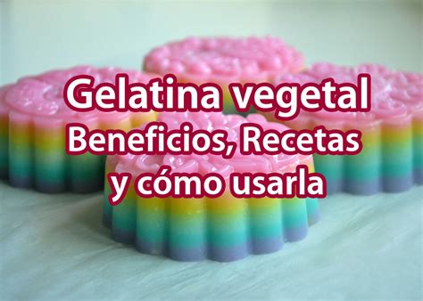 Gelatina vegetal Beneficios Recetas y Cómo usarla Gastronomia y