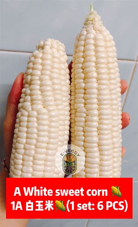 [PRE-ORDER] 1set 6pcs | Grade A Cameron Highlands Sweet White Corn