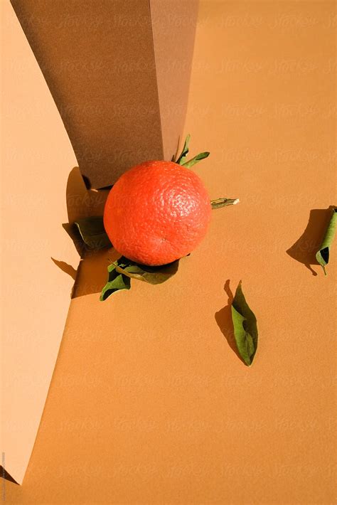 Tangerine By Stocksy Contributor Natasa Kukic Stocksy