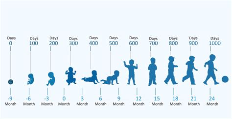 Use the date calculator to get your age in days or measure the duration of an event. Sarihusada - Detail For the First 1000 Days of Life