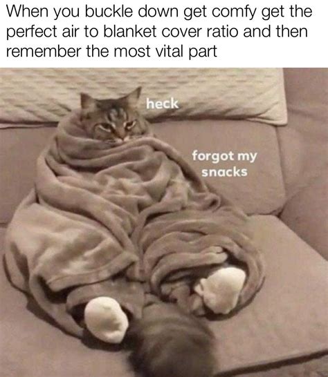 Funny Memes About Having A Cold Funny Memes
