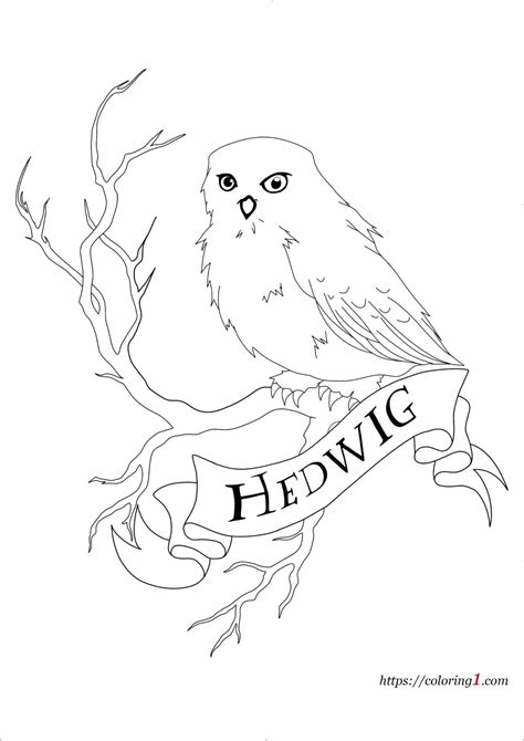 Harry Potter Owl Hedwig Coloring Pages - 2 Free Coloring Sheets (2021