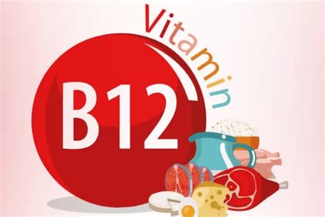 Makanan Sumber Vitamin B12 Untuk Kesehatan Yang Optimal Hallo Depok