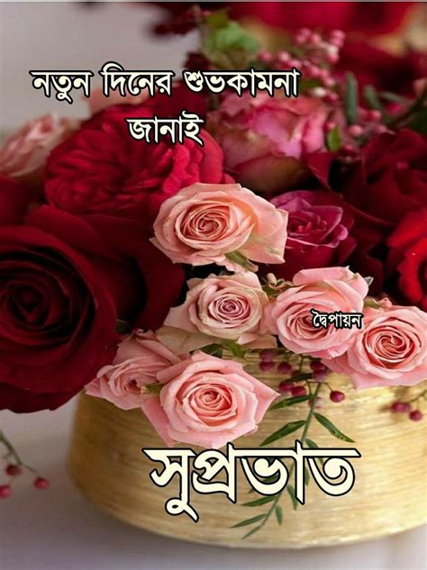 Pin By Sumita Das On সুপ্রভাত Good Morning Images Flowers Good