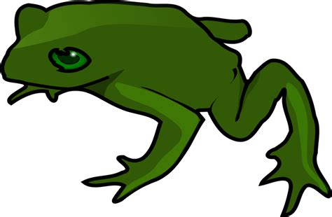 Kermit The Frog Free Content Clip Art Green Frog Png Download 800