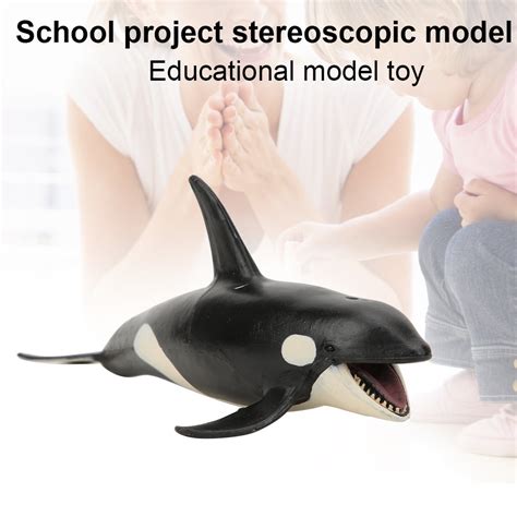 Acouto Killer Whale Figurines Toys Lifelike Simulation Animal Whale