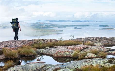 这个国家本身就是一座巨型自然公园！国家公园瑞典自然公园新浪新闻