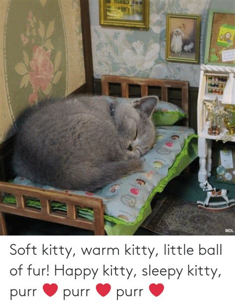 Soft Kitty Warm Kitty Little Ball Of Fur Happy Kitty Sleepy Kitty Purr