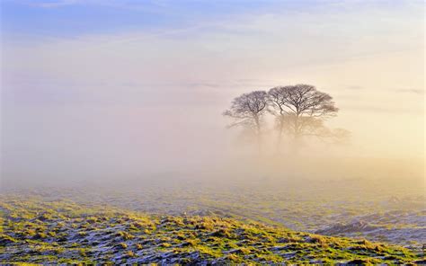 Morning Fog Scenery Wallpaper 2560x1600 31020