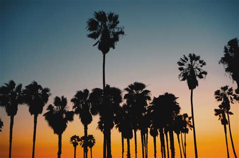 5 Beautiful Sunset Pics Of Los Angeles Goldenhour Viki Secrets