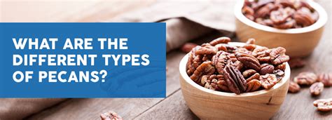 What Are The Different Types Of Pecan Varieties Pecan Nation