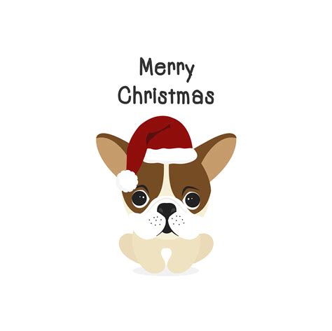 Colorful flat cartoon christmas illustrations with festive christmas decorations, cute dog lying on a couch, plant, frames. Merry Christmas dog Cartoon Dog. Vector illustration. 619143 Vector Art at Vecteezy